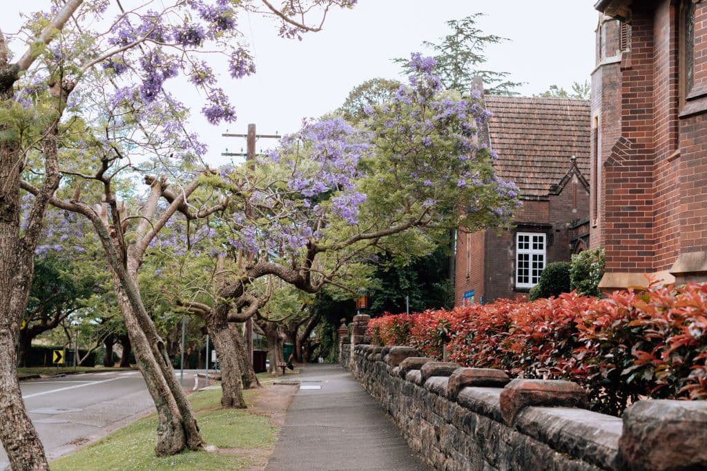 Why you need a Buyers Agent in the Upper North Shore Property Market